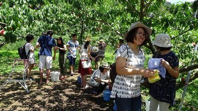 桃狩り食べ放題山梨御坂ファミリー農場さの口コミ評判