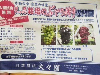 贈って喜ばれる無農薬減農薬ぶどう勝沼で一番美味しい口コミで人気の観光園大々園.jpg